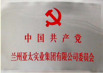 兰州6165金沙总站实业集团有限公司成立党委会专题
