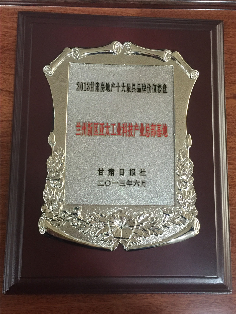 2013最具价值楼盘6165金沙总站新区