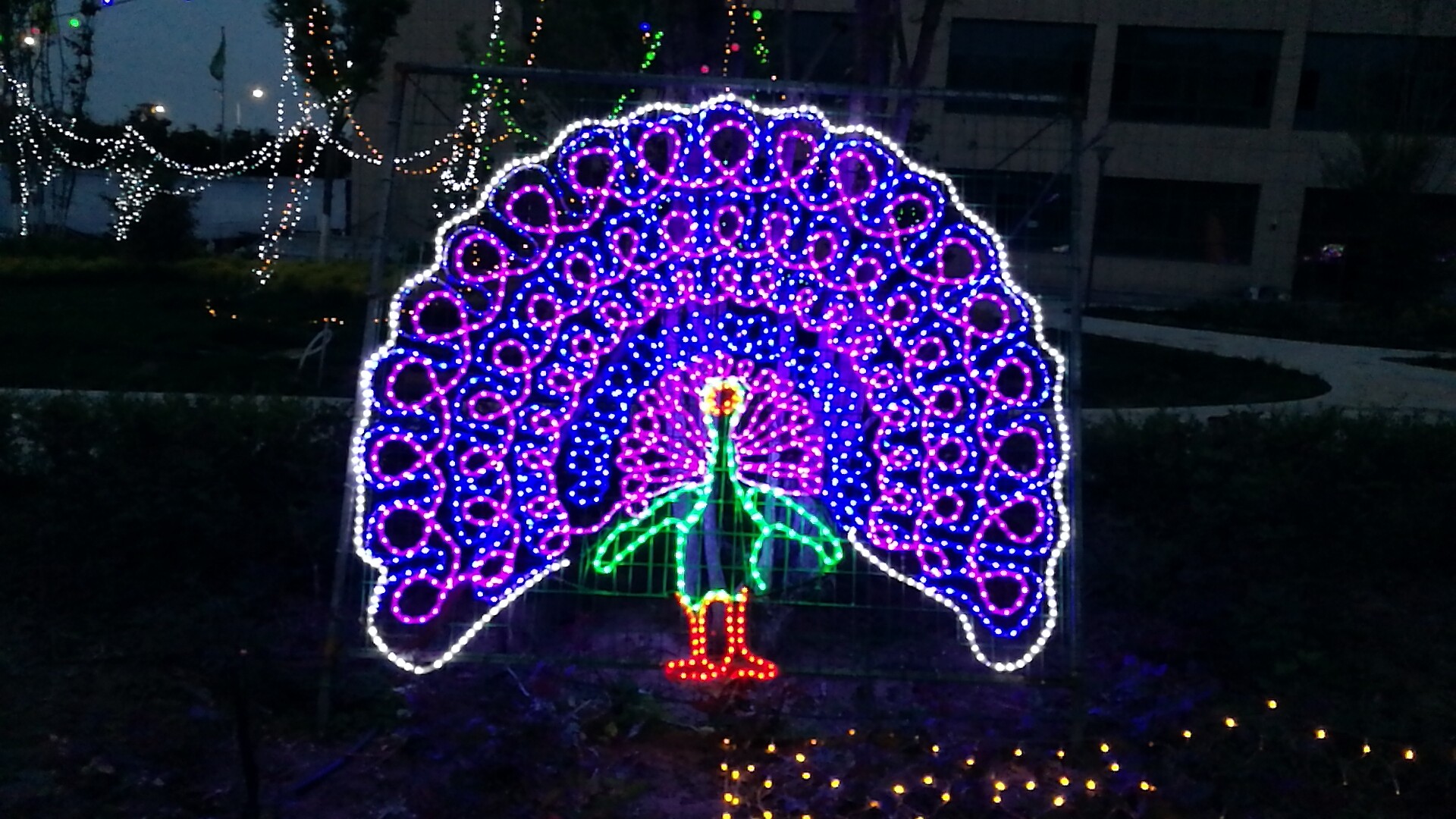 兰州新区6165金沙总站世贸广场“花漾灯光艺术节”欢迎你！