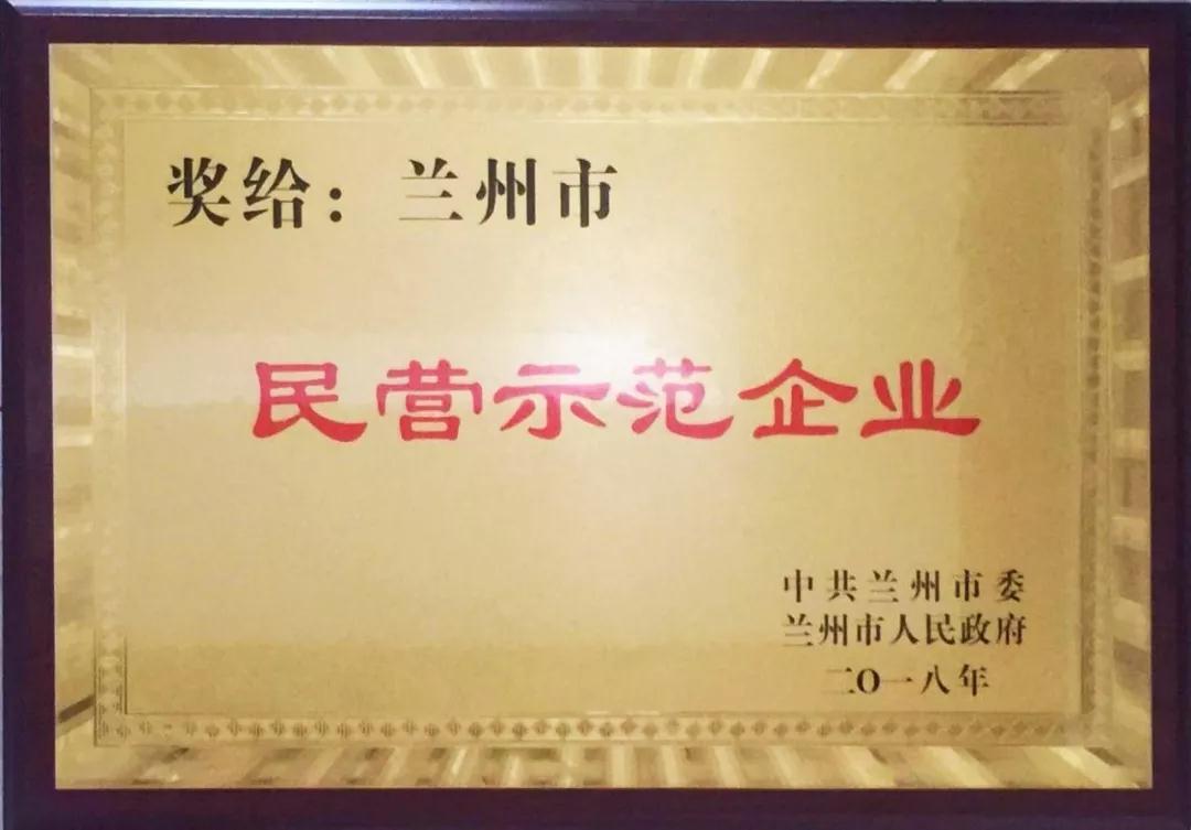 兰州6165金沙总站集团荣获 “兰州市民营示范企业”优秀称号